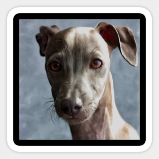 I Love Dogs, The Best Friends, Italian Greyhound Sticker